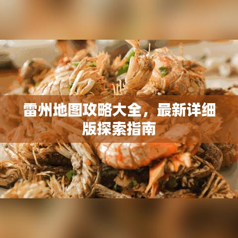 雷州地圖攻略大全，最新詳細(xì)版探索指南