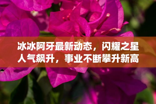 冰冰阿牙最新動態(tài)，閃耀之星人氣飆升，事業(yè)不斷攀升新高度
