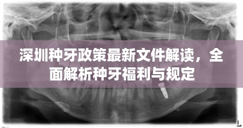 深圳種牙政策最新文件解讀，全面解析種牙福利與規(guī)定