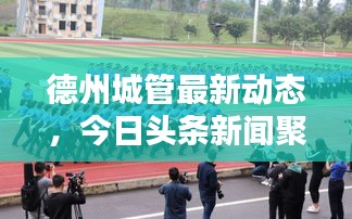 德州城管最新動態(tài)，今日頭條新聞聚焦城市管理