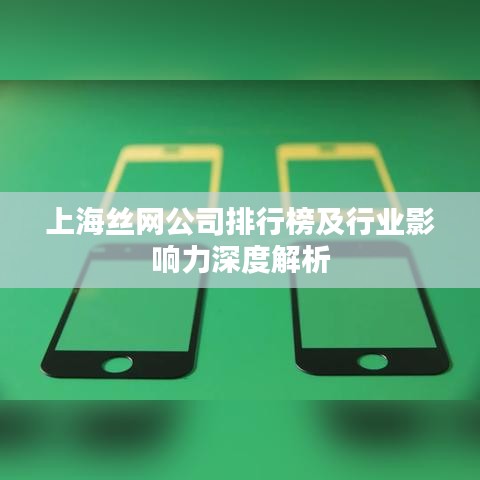 上海絲網(wǎng)公司排行榜及行業(yè)影響力深度解析