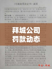 拜城公司罰款動(dòng)態(tài)，最新消息權(quán)威發(fā)布