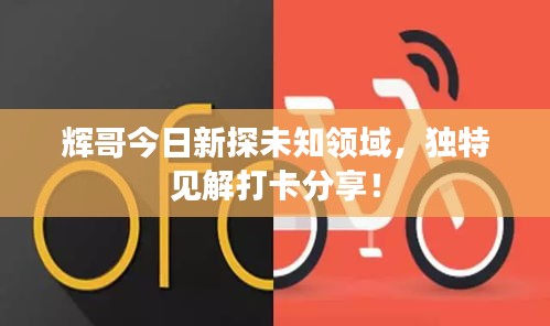 輝哥今日新探未知領(lǐng)域，獨(dú)特見解打卡分享！