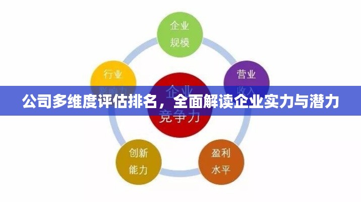 公司多維度評估排名，全面解讀企業(yè)實力與潛力