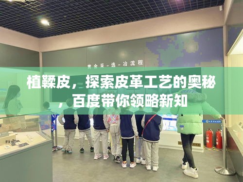 植鞣皮，探索皮革工藝的奧秘，百度帶你領(lǐng)略新知