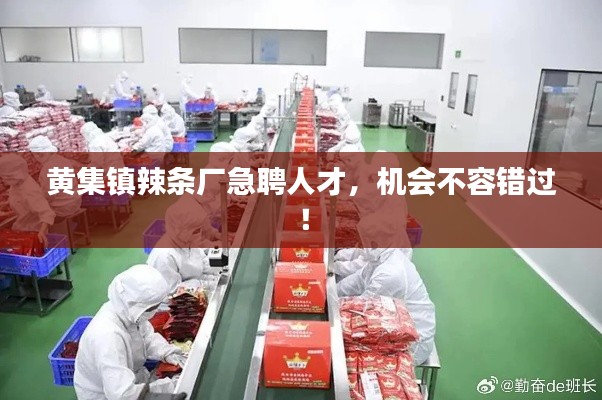 黃集鎮(zhèn)辣條廠急聘人才，機會不容錯過！