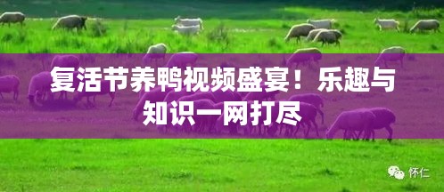 復(fù)活節(jié)養(yǎng)鴨視頻盛宴！樂趣與知識一網(wǎng)打盡
