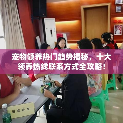寵物領(lǐng)養(yǎng)熱門趨勢揭秘，十大領(lǐng)養(yǎng)熱線聯(lián)系方式全攻略！