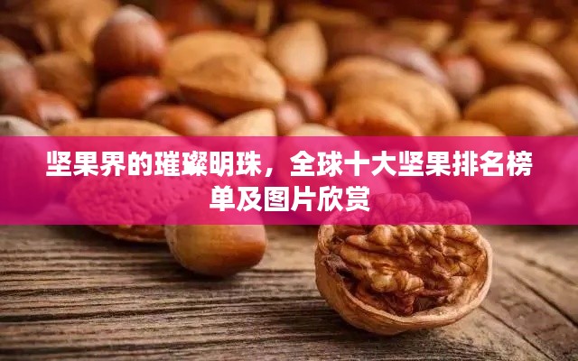 堅果界的璀璨明珠，全球十大堅果排名榜單及圖片欣賞