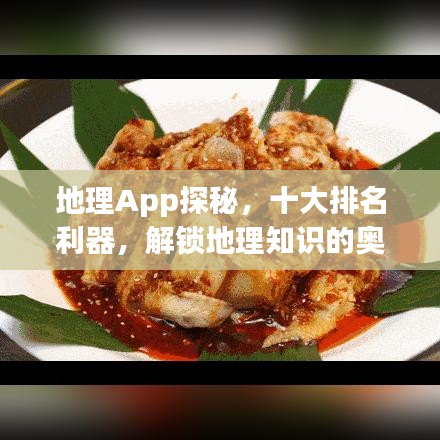 地理App探秘，十大排名利器，解鎖地理知識(shí)的奧秘