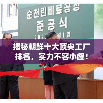 揭秘朝鮮十大頂尖工廠排名，實力不容小覷！