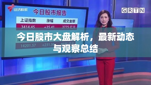 今日股市大盤解析，最新動態(tài)與觀察總結(jié)