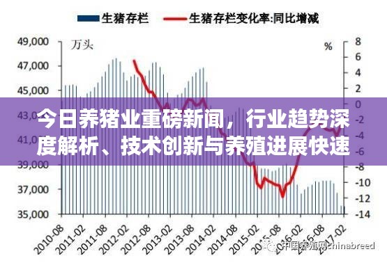 今日養(yǎng)豬業(yè)重磅新聞，行業(yè)趨勢深度解析、技術(shù)創(chuàng)新與養(yǎng)殖進展快速更新