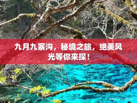 九月九寨溝，秘境之旅，絕美風光等你來探！