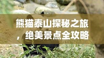 熊貓?zhí)┥教矫刂?，絕美景點(diǎn)全攻略！