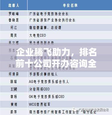 企業(yè)騰飛助力，排名前十公司開辦咨詢?nèi)馕? class=