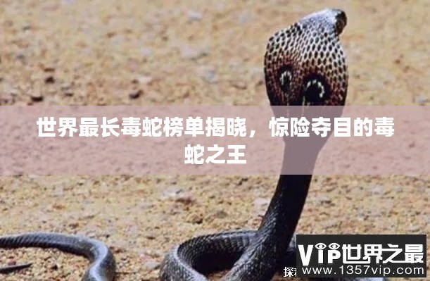 世界最長毒蛇榜單揭曉，驚險奪目的毒蛇之王