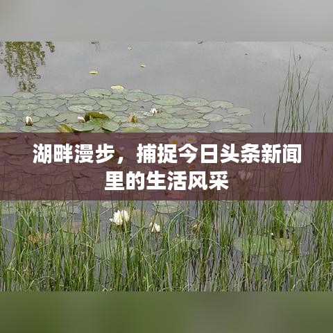 湖畔漫步，捕捉今日頭條新聞里的生活風(fēng)采