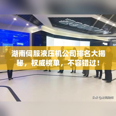 湖南伺服液壓機(jī)公司排名大揭秘，權(quán)威榜單，不容錯(cuò)過！