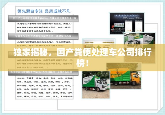 獨(dú)家揭秘，國產(chǎn)糞便處理車公司排行榜！
