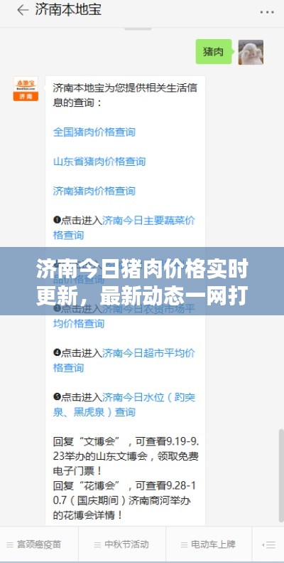 濟(jì)南今日豬肉價格實(shí)時更新，最新動態(tài)一網(wǎng)打盡！
