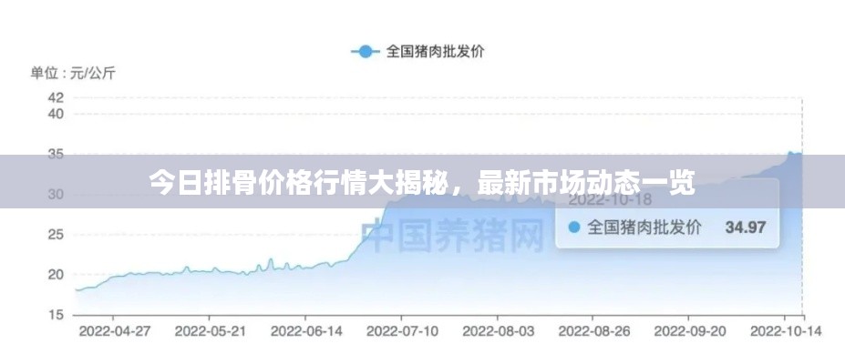 今日排骨價(jià)格行情大揭秘，最新市場(chǎng)動(dòng)態(tài)一覽