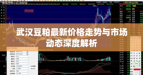武漢豆粕最新價格走勢與市場動態(tài)深度解析