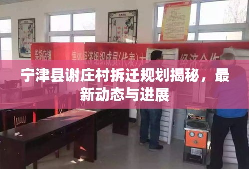 寧津縣謝莊村拆遷規(guī)劃揭秘，最新動(dòng)態(tài)與進(jìn)展