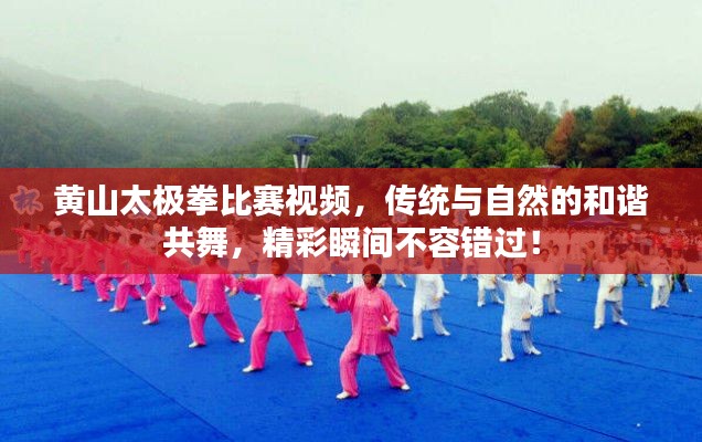黃山太極拳比賽視頻，傳統(tǒng)與自然的和諧共舞，精彩瞬間不容錯過！