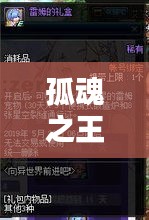 孤魂之王攻略大全，秘籍、技巧一網(wǎng)打盡（最新更新）