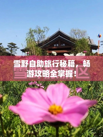 雪野自助旅行秘籍，暢游攻略全掌握！