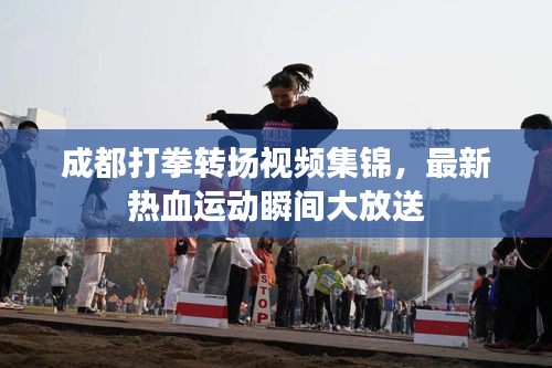 成都打拳轉場視頻集錦，最新熱血運動瞬間大放送
