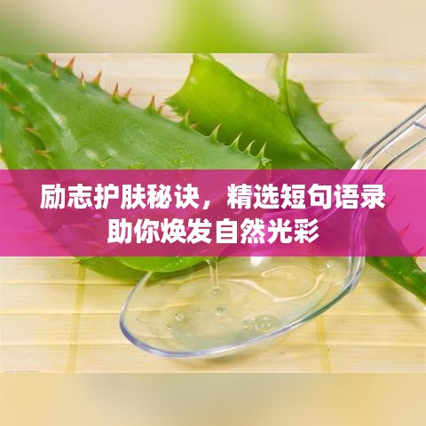 勵志護(hù)膚秘訣，精選短句語錄助你煥發(fā)自然光彩