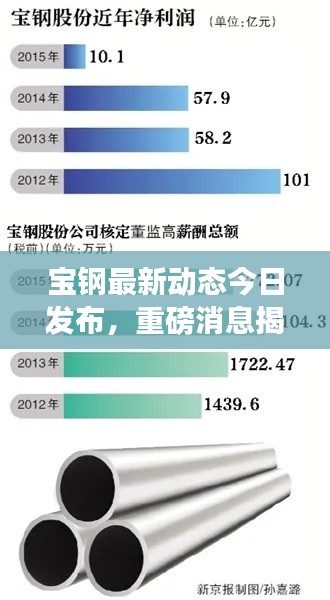 寶鋼最新動(dòng)態(tài)今日發(fā)布，重磅消息揭秘，行業(yè)矚目！