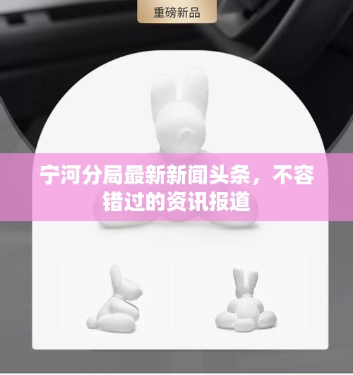 寧河分局最新新聞頭條，不容錯過的資訊報道