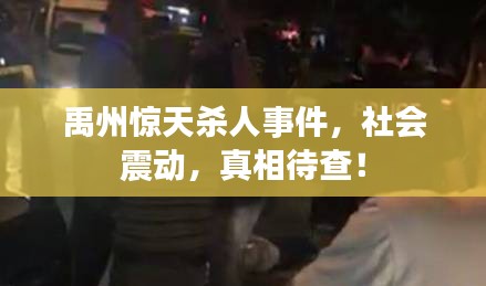 禹州驚天殺人事件，社會震動，真相待查！
