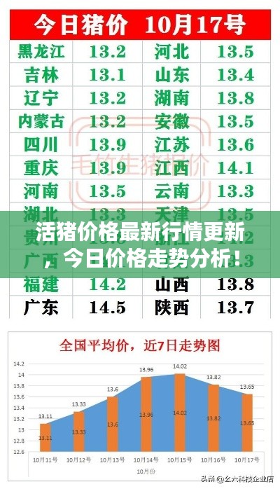 活豬價格最新行情更新，今日價格走勢分析！