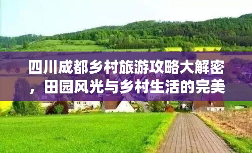 四川成都鄉(xiāng)村旅游攻略大解密，田園風光與鄉(xiāng)村生活的完美體驗