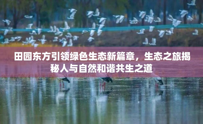 田園東方引領(lǐng)綠色生態(tài)新篇章，生態(tài)之旅揭秘人與自然和諧共生之道