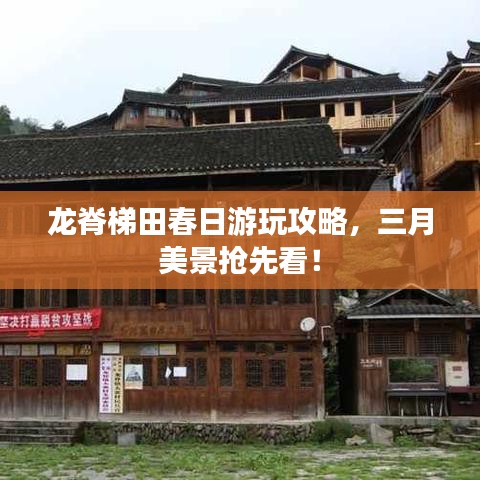 龍脊梯田春日游玩攻略，三月美景搶先看！