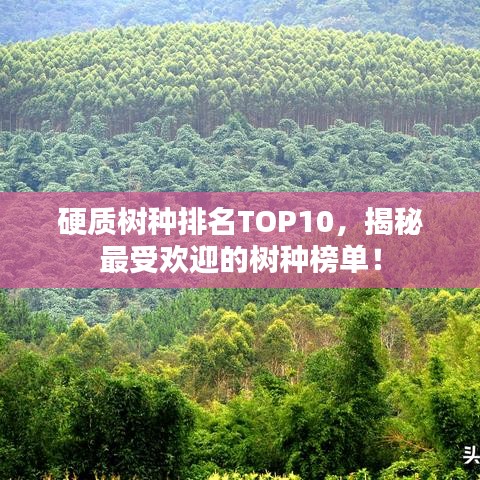 硬質(zhì)樹種排名TOP10，揭秘最受歡迎的樹種榜單！