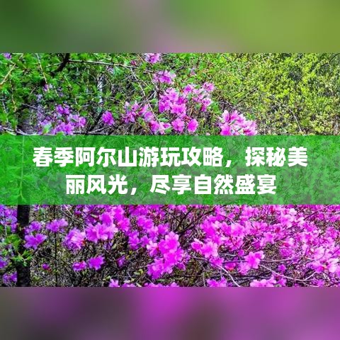 春季阿爾山游玩攻略，探秘美麗風(fēng)光，盡享自然盛宴