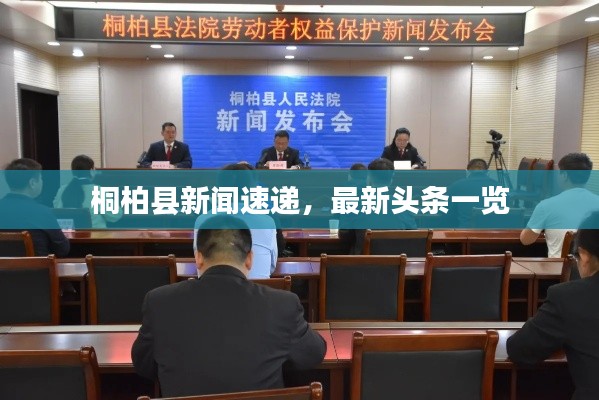 桐柏縣新聞速遞，最新頭條一覽