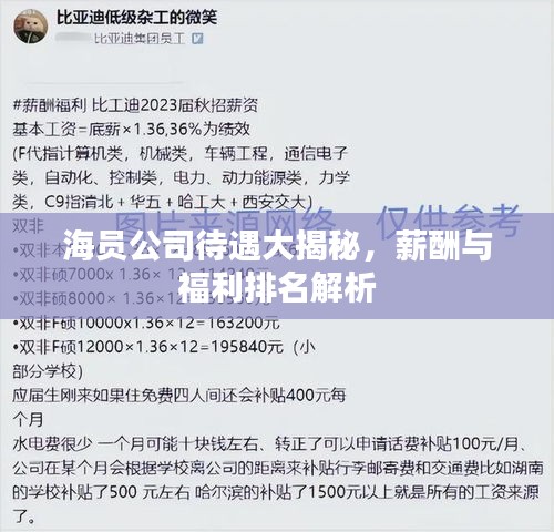 海員公司待遇大揭秘，薪酬與福利排名解析
