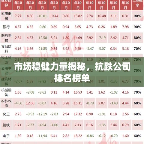 市場(chǎng)穩(wěn)健力量揭秘，抗跌公司排名榜單