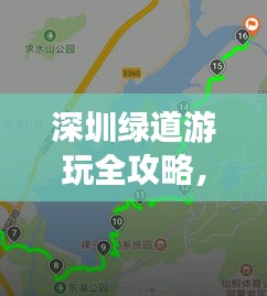 深圳綠道游玩全攻略，最新路線指南