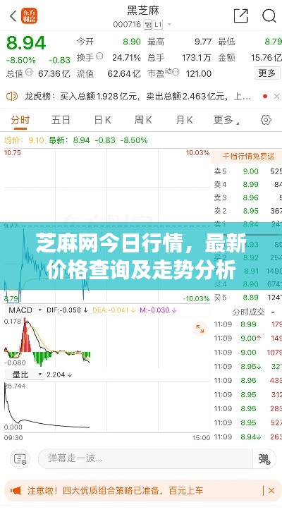 芝麻網(wǎng)今日行情，最新價(jià)格查詢及走勢(shì)分析