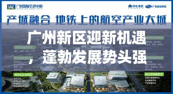廣州新區(qū)迎新機(jī)遇，蓬勃發(fā)展勢(shì)頭強(qiáng)勁的新聞?lì)^條