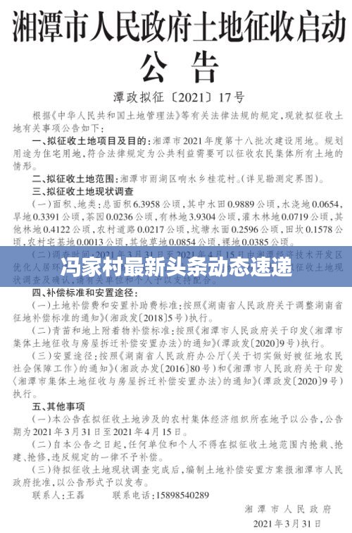 馮家村最新頭條動(dòng)態(tài)速遞