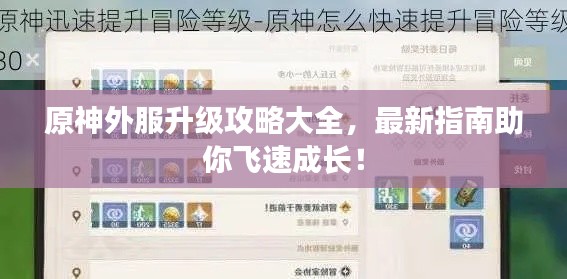 原神外服升級(jí)攻略大全，最新指南助你飛速成長(zhǎng)！